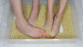 Feet ASMR Corn #asmr #asmrfood #asmrfeet