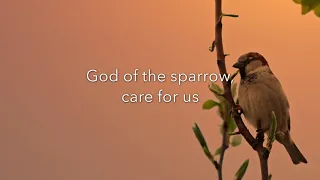 God of the Sparrow by Craig Courtney from Beckenhorst Press
