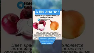 а вы знали!? красный лук содержит больше антиоксидантов. #медицина #зож #здоровье #рецепт