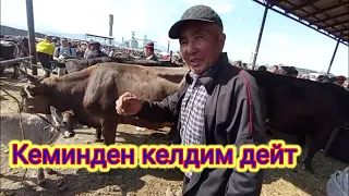 СААН УЙЛАРДЫН БААЛАРЫ