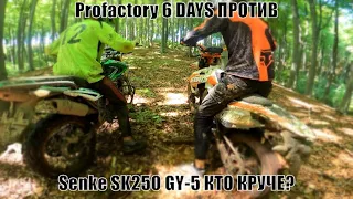 Жесткий тест Exdrive Profactory 6 DAYS против Senke SK250