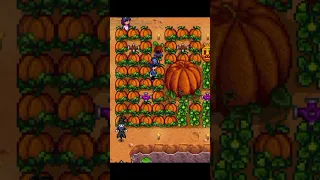 Our first mega crop after YEARS of playing - stardew valley