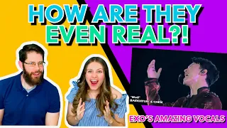 SIBLING REACTION to 'EXO'S AMAZING VOCALS' (kyungie xoxo) - My brother is shook!