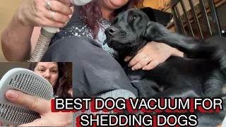 Best Dog Shedding Vacuum Brush on Amazon for grooming, trimming, brushing, vacuuming and more #dog