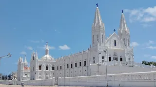 മരിയൻ തീർത്ഥാടന കേന്ദ്രമായ velankanni ലേക്ക് തീർത്ഥാടന യാത്ര | Morning star Church & Basilica Church
