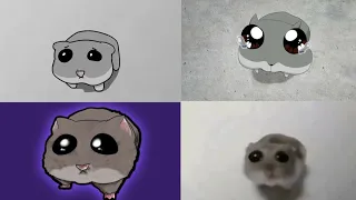 Sad Hamster Meme (Different Versions)