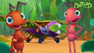 Ants ready to depart 🔴NEW EPISODE!!!🔴| Funny Cartoons | Funny Videos for kids | ANTIKS 🐜🌿