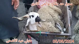 سوق حد بلفاع اقليم شتوكة ايت باهة 05/05/2024 مع ثمن 🐏🐐 عيد الاضحى