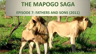 THE MAPOGO SAGA - Episode 7 | FATHERS AND SONS (2011)