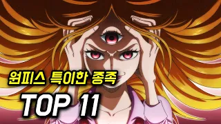 원피스 특이한 종족 TOP 11 (총정리 한 거임)