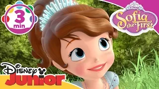 Sofia the First | I Am On Your Side Song | Disney Junior UK