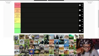 (  The What Animals Could I Beat In A Fight Tier List )