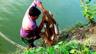 Best Net Fishing।Catching Lot of Fish Using Cast Net। Fishing with beautiful nature (part-1)