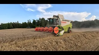 GoPro/POV/Driverview, Claas Lexion 480 Barley harvest, žně ječmen 2023