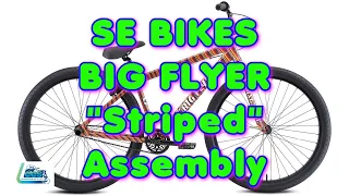 SE BIKES Big Flyer 29er Striped 4k Lee's