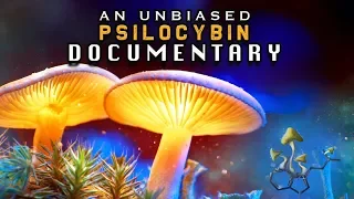 The MAGIC Behind MUSHROOMS | The Untold Story of PSILOCYBIN (Educational SHROOMS documentary)