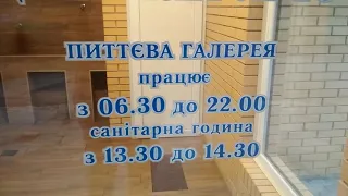 ОТДЫХ В КАРПАТАХ.СХОДНИЦА.ИСТОЧНИК 10