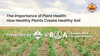 The Importance of Plant Health | How Healthy Plants Create Healthy Soil | AEA and ROA