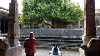 3500 years old tree kanchipuram