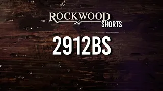 Rockwood Ultra Lite 2912BS #Shorts