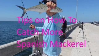 Simple Rig to Catch Spanish Mackerel Off ANY Fishing Pier