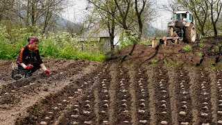 Growing Potatoes and Onions in our garden - How to make delicious Pancakes in the village?