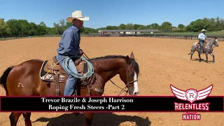 Trevor Brazile and Joseph Harrison Roping Fresh Cattle - Part 2