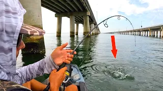 FEEDING FRENZY At The Big Bridge (Chesapeake Bay Bridge Tunnel Kayak Fishing)