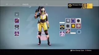 Full year3 Trials Hunter gear with all Flawless Ornaments