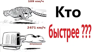 ПРИКОЛЫ! КТО БЫСТРЕЕ? Тест на психику от Доми шоу! МЕМЫ 2022