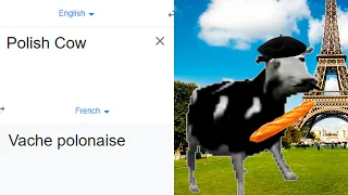 Polish Cow in different languages meme