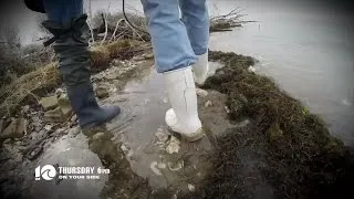 Tangier Island: Town Sinking into Water