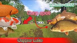 Copper Lake carp spot Russian Fishing 4 | Jezioro Miedziane karp spot Russian Fishing 4