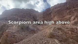 Trellis Canyon Scorpions Lost City Rock Fall April  2024