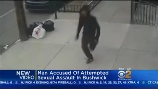 NYPD: Attempted Sex Assault In Bushwick