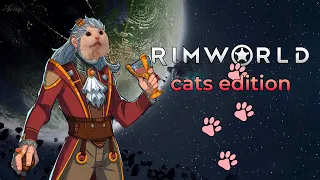 Что если бы коты играли в rimworld - cats edition