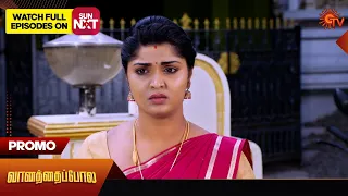 Vanathai Pola - Promo | 02 March 2024  | Tamil Serial | Sun TV