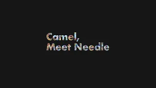 Camel Meet Needle (Lyric Video)