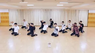 SEVENTEEN - 울고 싶지 않아 (Don't Wanna Cry) Dance Practice (Mirrored)