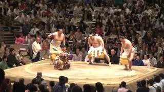 Sumo ritual