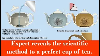 Expert reveals the scientific method to a perfect cup of tea.