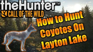 How To Hunt Coyotes in The Hunter Call of The Wild