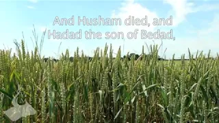 Genesis 36:35 - And Husham died, and Hadad the son of Bedad, who smote Midian - Bible Verses