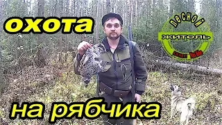 Охота на рябчика. Осенний поход.Grouse hunting. Autumn hike.