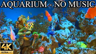 AQUARIUM 4K Coral Reef 4K Aquarium NO Music NO Ads - 8 Hours | Aquarium Sounds For Sleeping