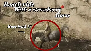 Beach ride at strawberry bare back..?! // WHAT! // *VOICED* // *the horse has a tantrum*