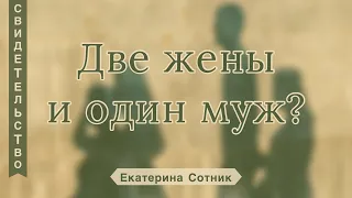 Две жены и один муж? - Екатерина Сотник