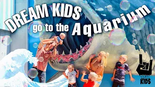 DREAM KIDS Go to the Aquarium and Teach You About Ocean Life