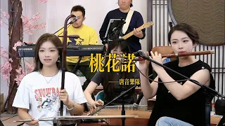 【唐音樂隊】《桃花诺》LIVE Tangyin 唐音乐队 Chinese Music 二胡 竹笛 古筝 Erhu Dizi Guzheng 國樂 乐器演奏 中國樂器 Chinese music