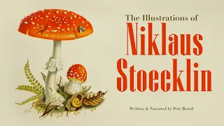 THE ILLUSTRATIONS OF NIKLAUS STOECKLIN   HD 1080p